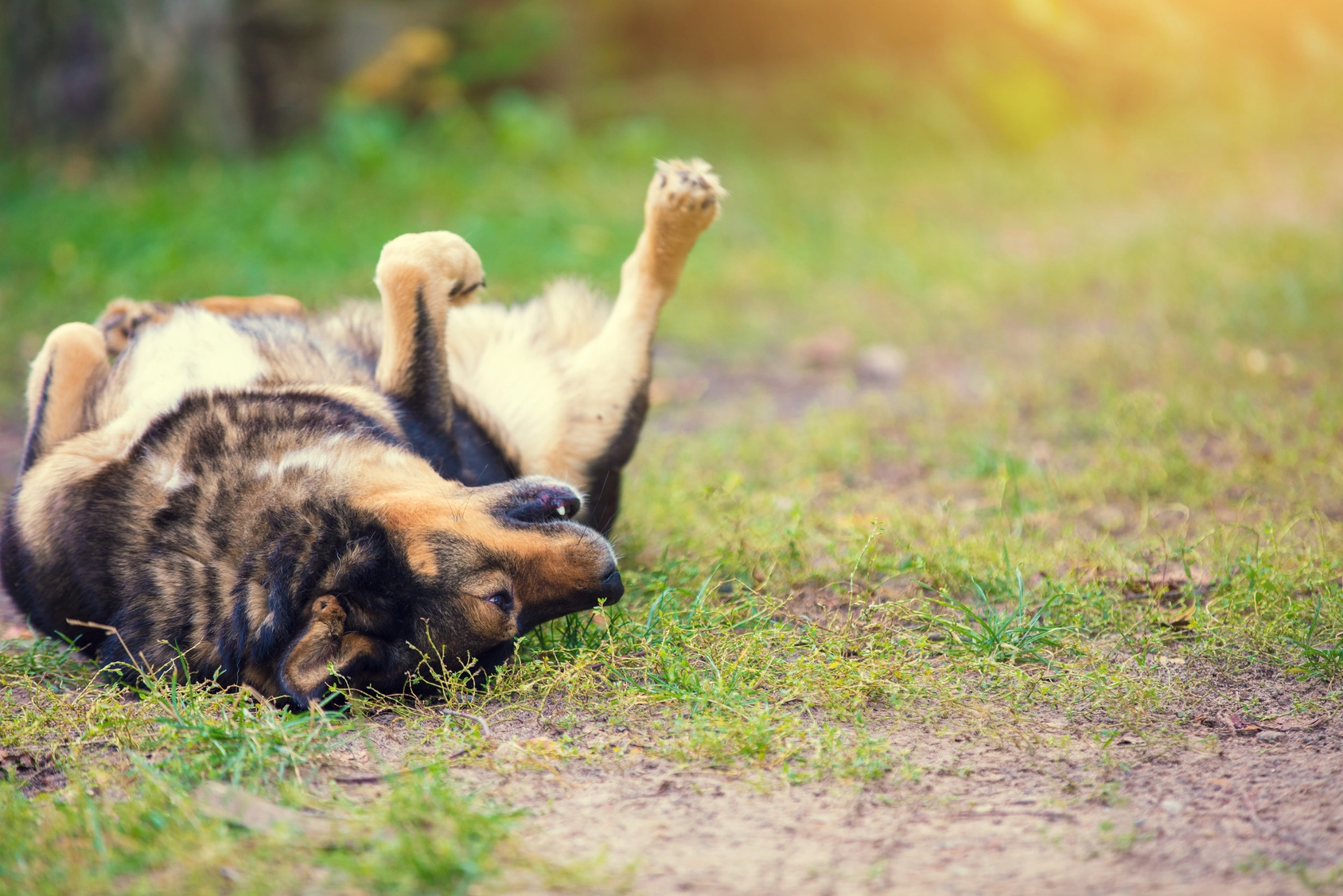 Kładzenie się na plecy